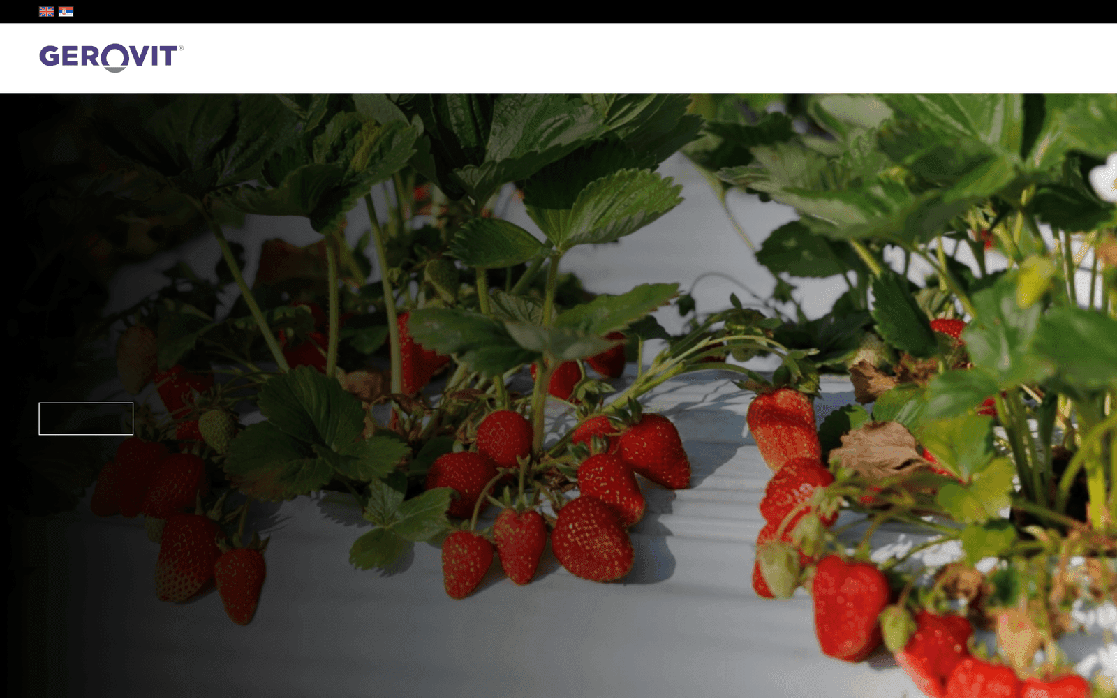 Screenshot der Website gerovit.com